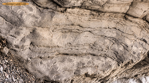 Big Horn Sheep Petroglyphs