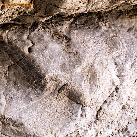 Big Horn Petroglyphs