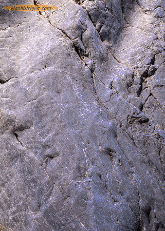 Snake Petroglyph
