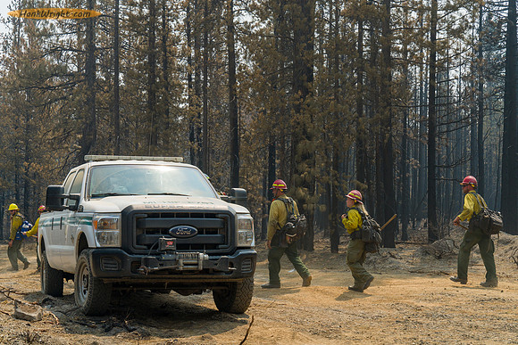 More fire fighters