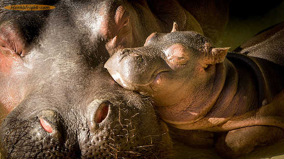 Mom Keeping an Eye on Infant
